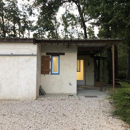 Gite De La Fontaine Bondree Vernou-sur-Brenne Exteriér fotografie